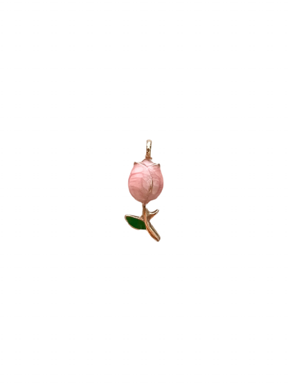 Tulip - Flower